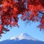 Mount Fuji and the autumn leaves of the banksof Lake Kwaguchi.