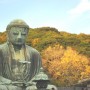 the autumn leaves and the Great Buddha