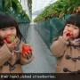 Kids enjoying their hand picked strawberries