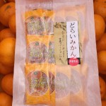 Dried fruit(orange)