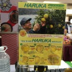 An extraordinary fair of Japanese food and product from Hiroshima