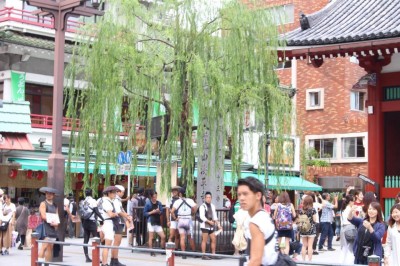 ASAKUSA1