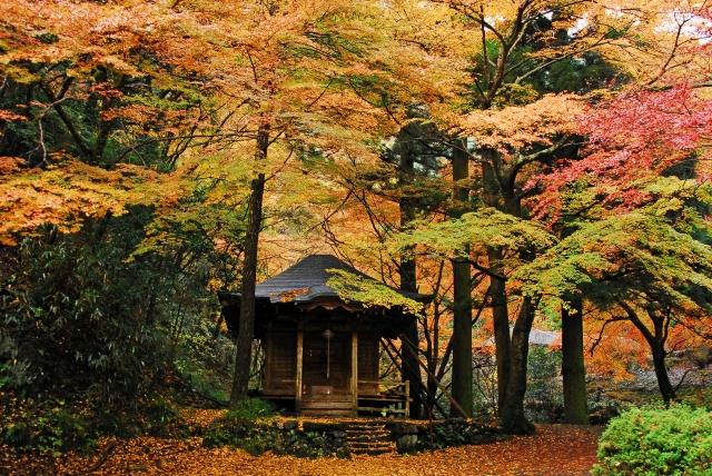 日本文化 秋と紅葉 In 佐野 Halal Media Japan