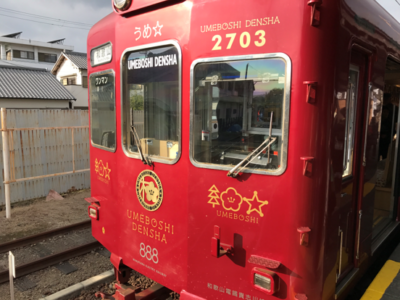 umeboshi train