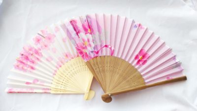 Stylish Japanese folding fan (sensu) and uchiwa