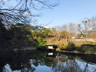 magical pond