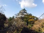 wakayama castle