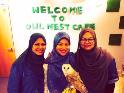 owlcafe