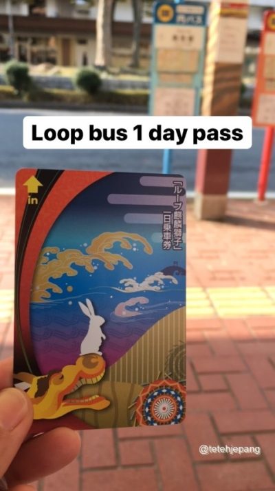 Loop bus 1 day pass