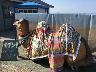 a camel object (photo spot)